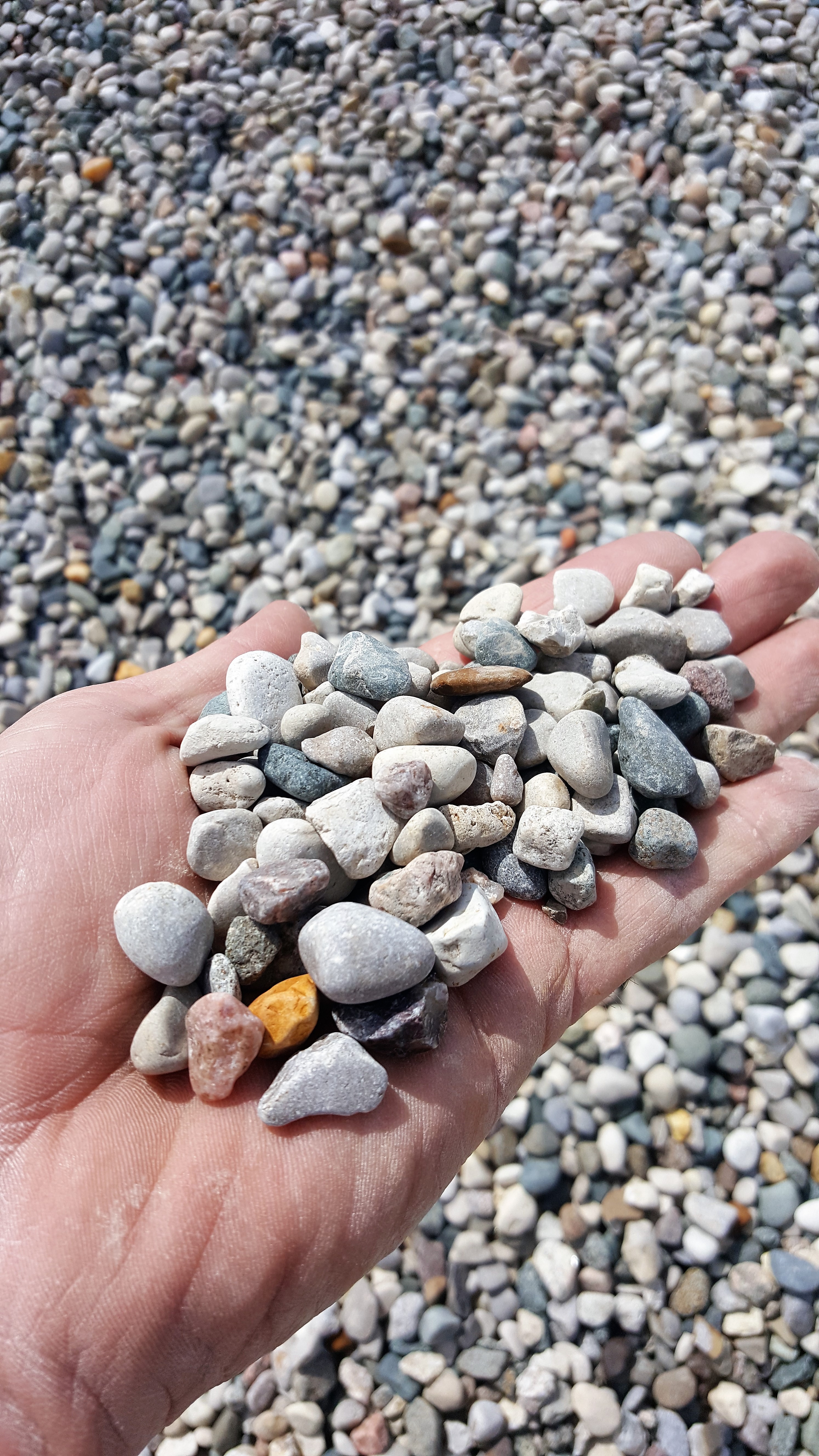 5/8″ Pea Stone Birch Tree Bark & Stone