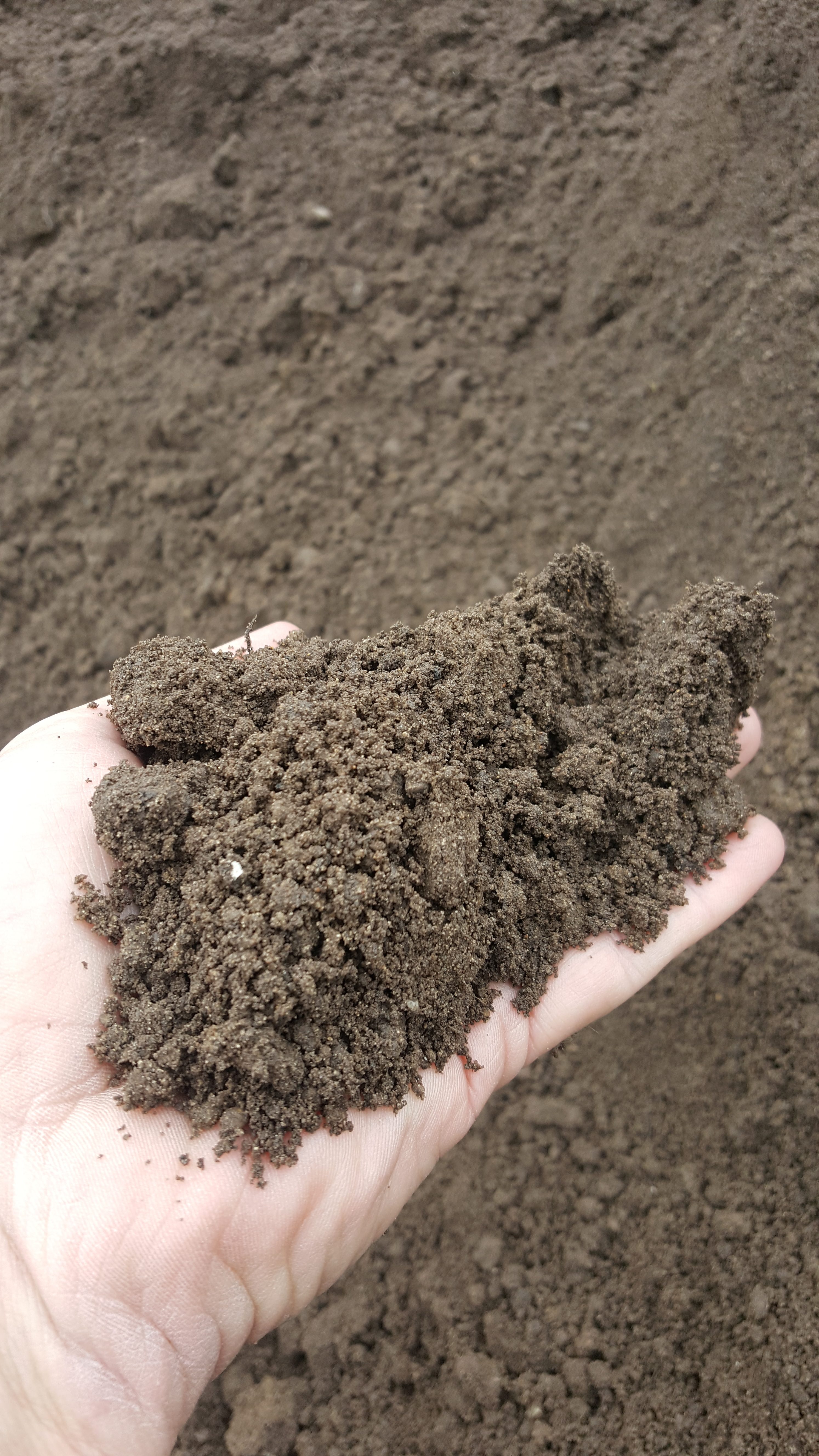 Screened Top Soil Screened Top Soil
