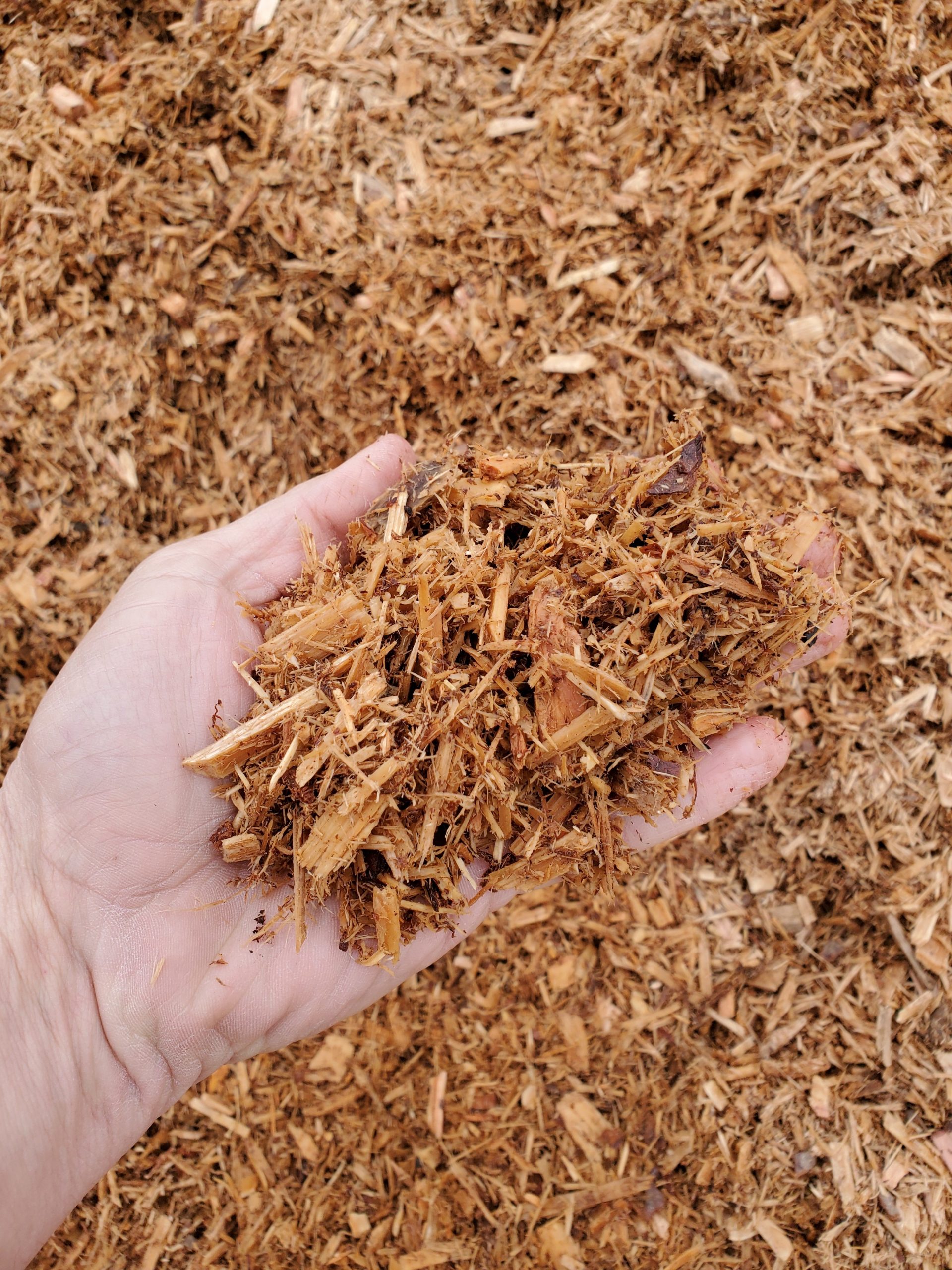 Playground Mulch  Birch Tree Bark & Stone