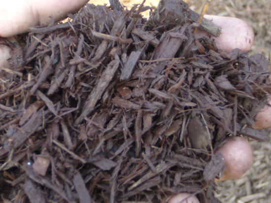 Dark Brown Enhanced Mulch Dark Brown Enhanced Mulch
