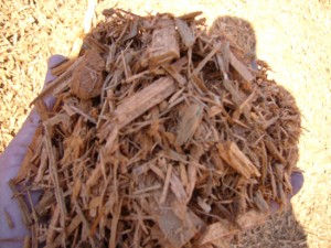 Gold Enhanced Mulch Gold Enhanced Mulch