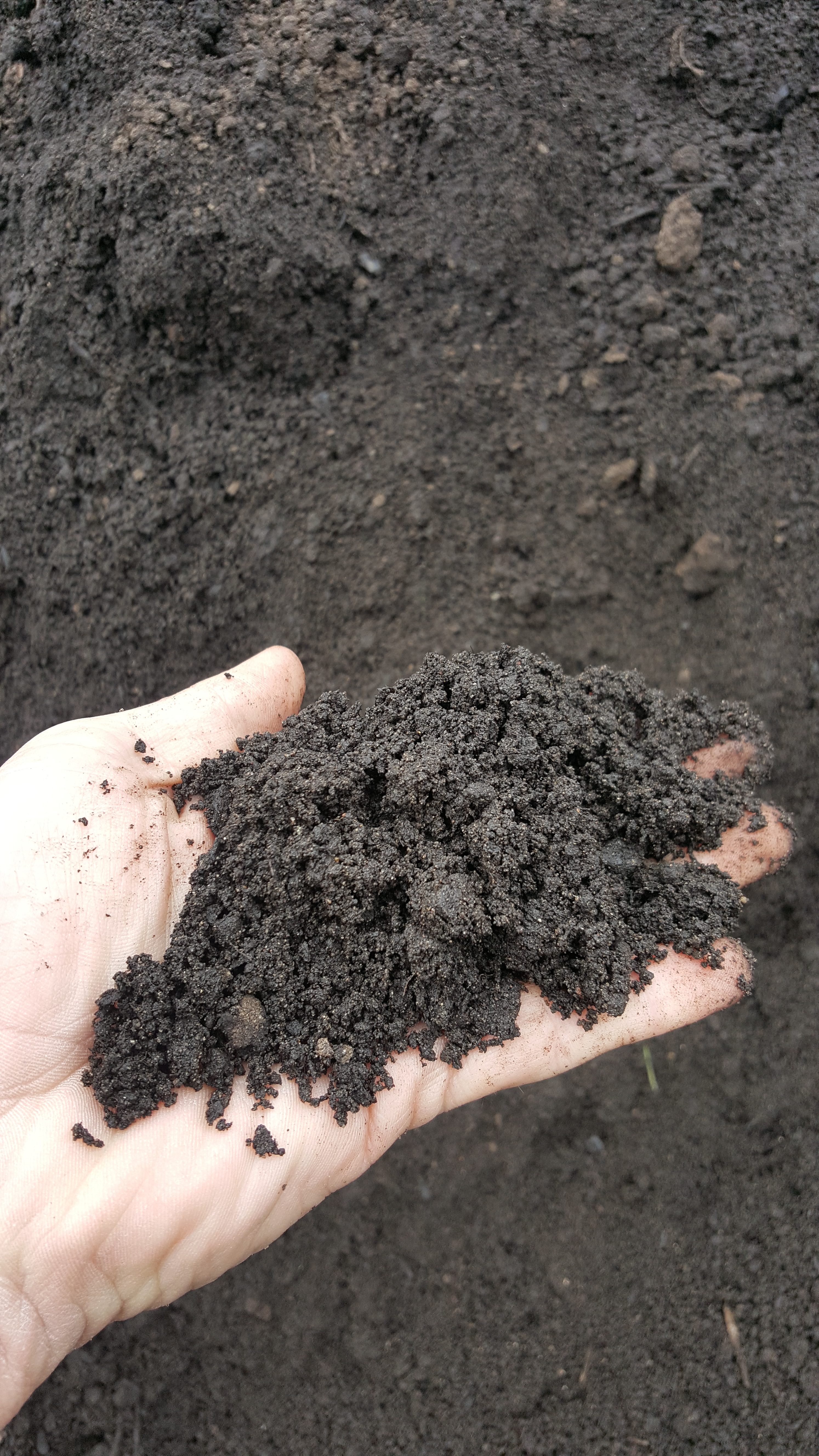 Garden Soil Garden Soil