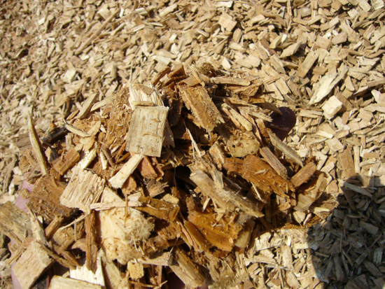 Wood Chips  Birch Tree Bark & Stone