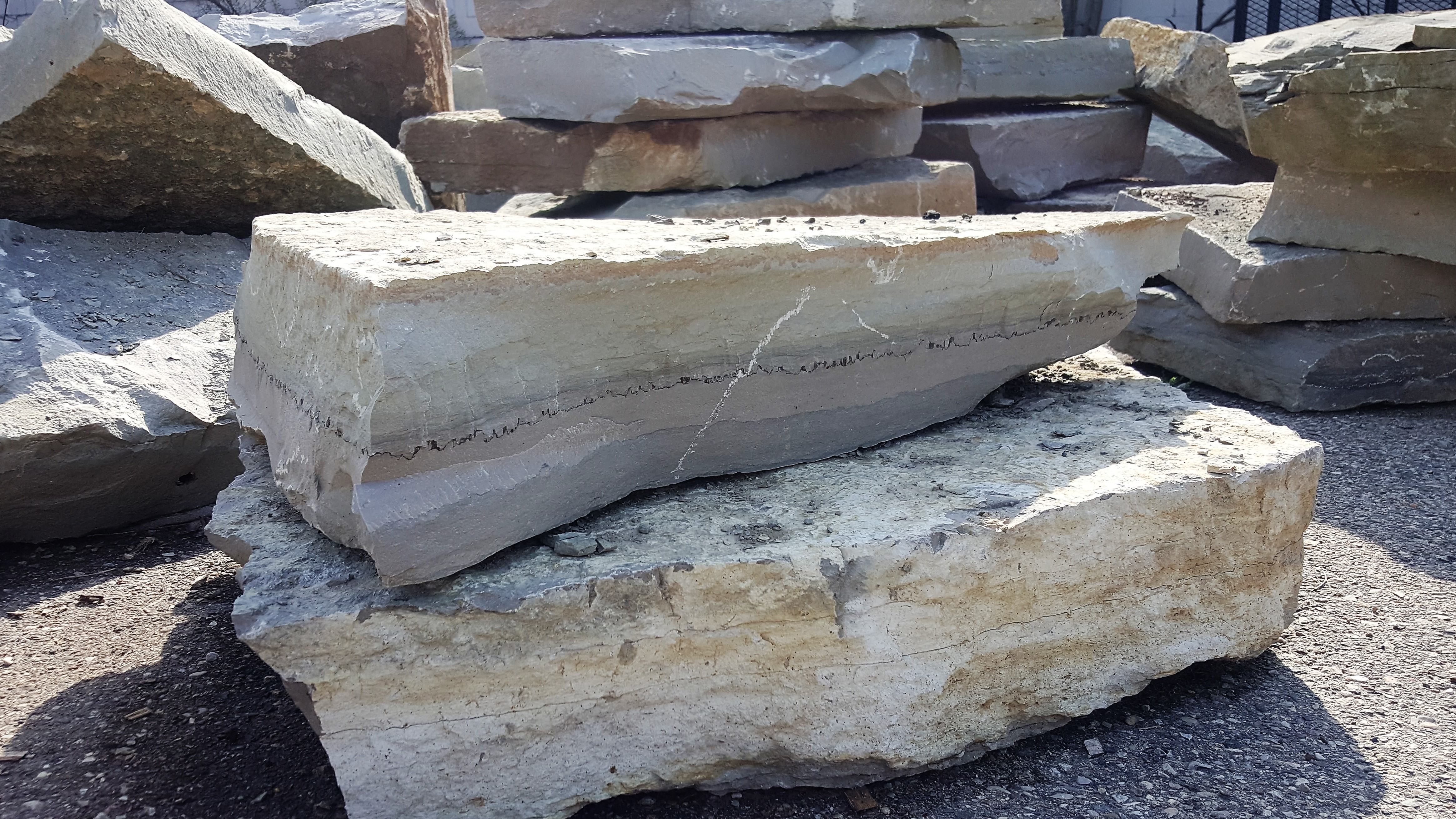 Mocha Mint Outcropping Mocha Mint Outcropping