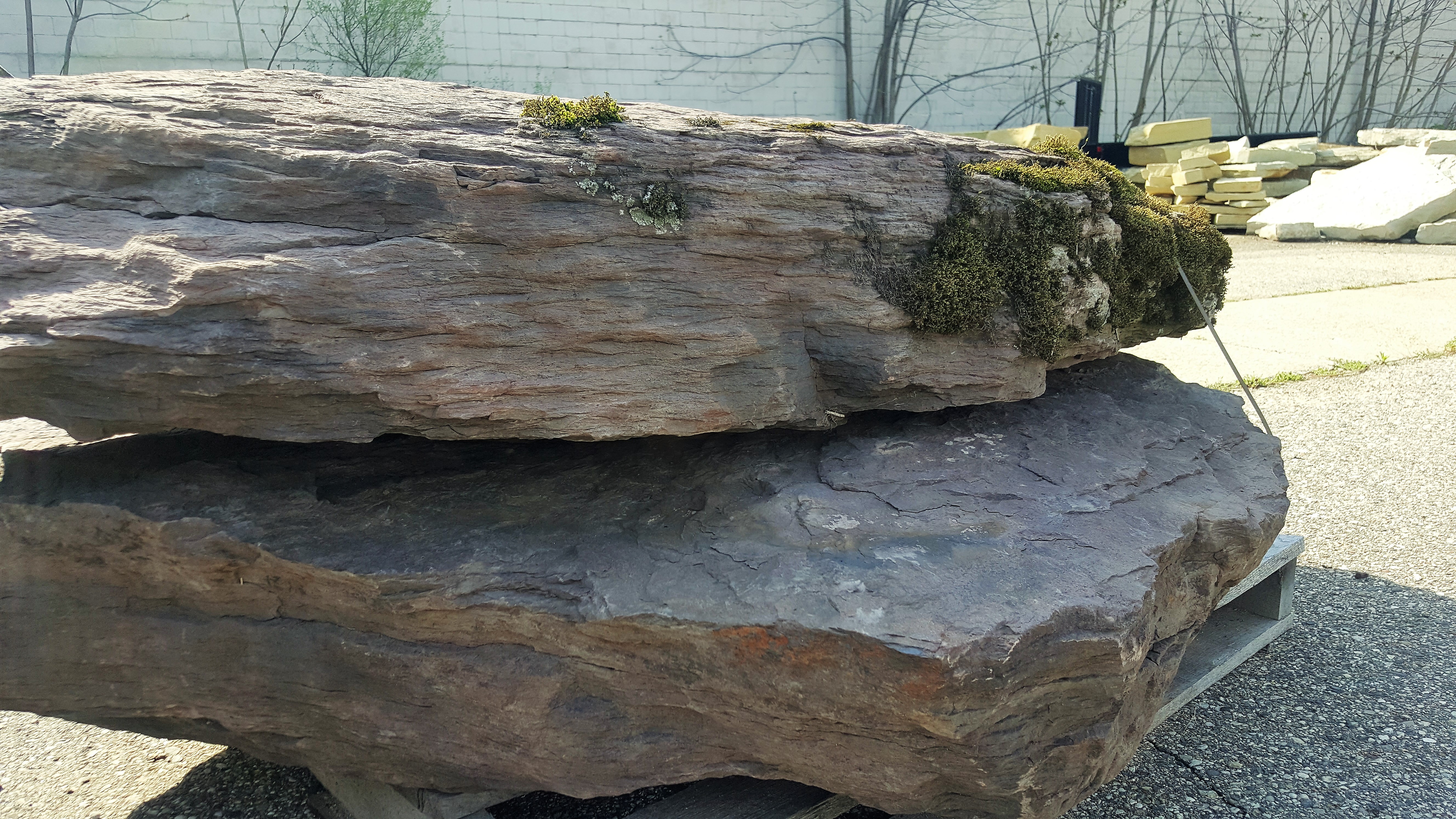 Penn Large Fieldstone Outcropping Penn Large Fieldstone Outcropping