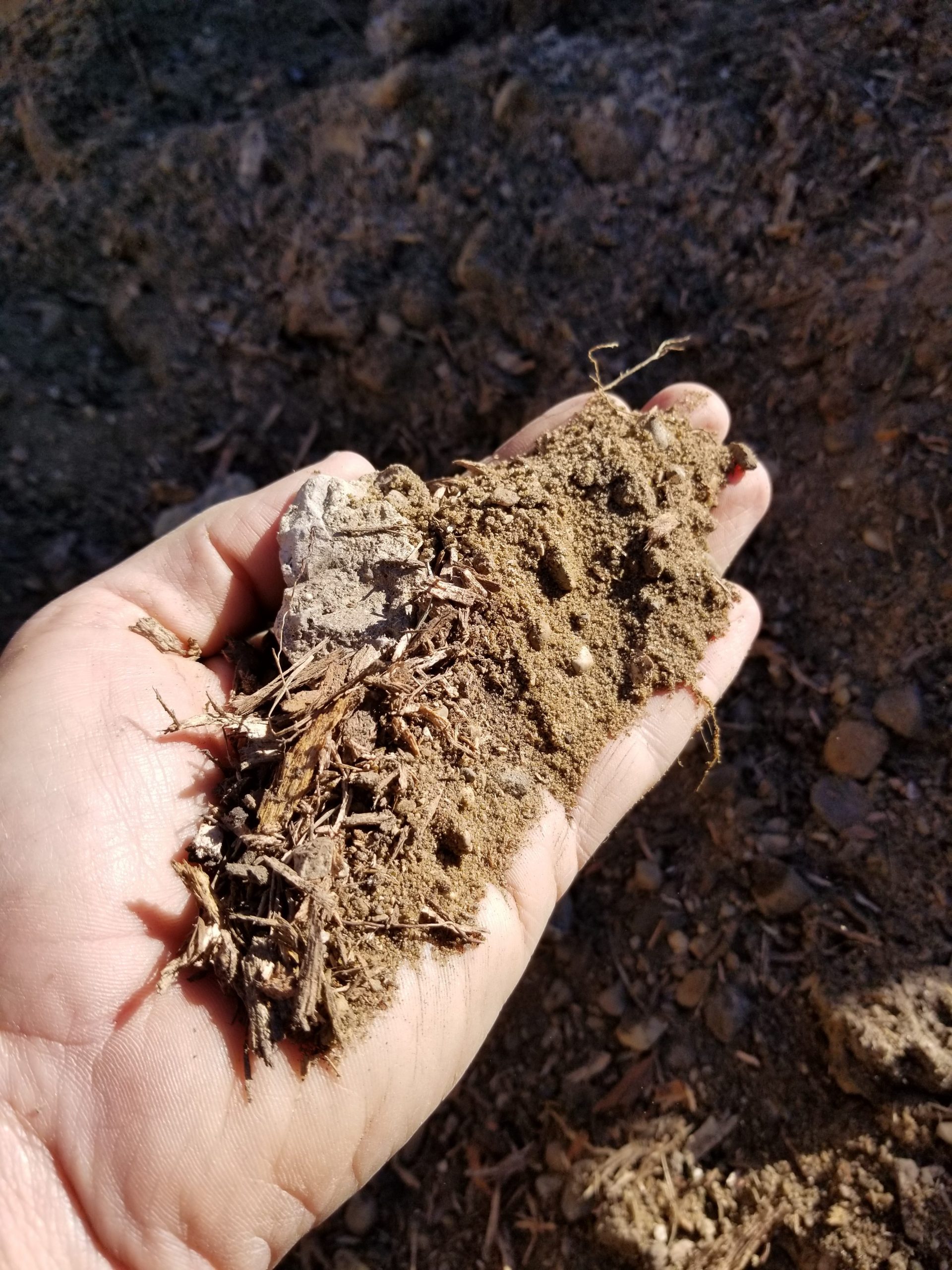 Unscreened Fill Dirt/Sand