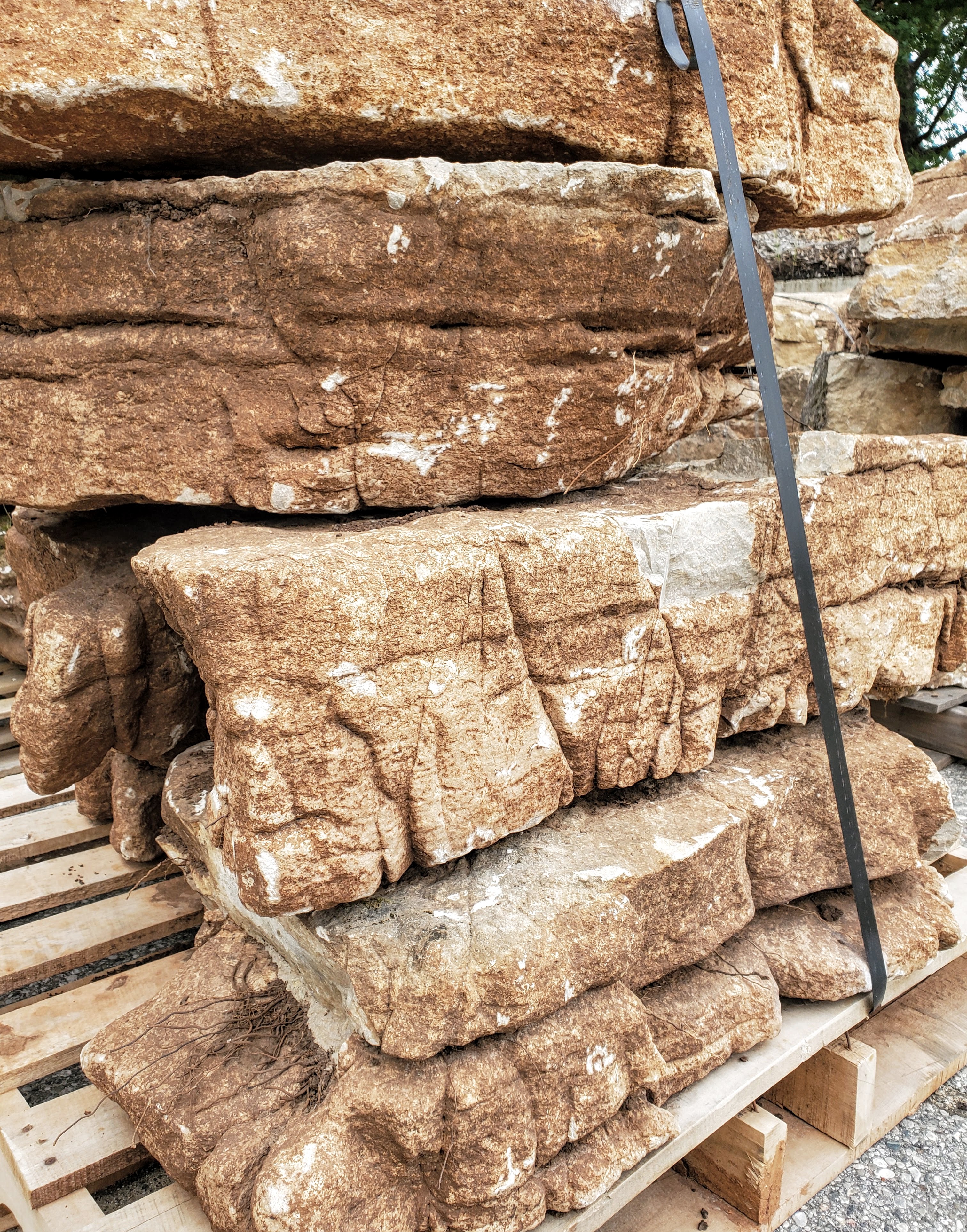 Weathered Limestone Outcropping Weathered Limestone Outcropping