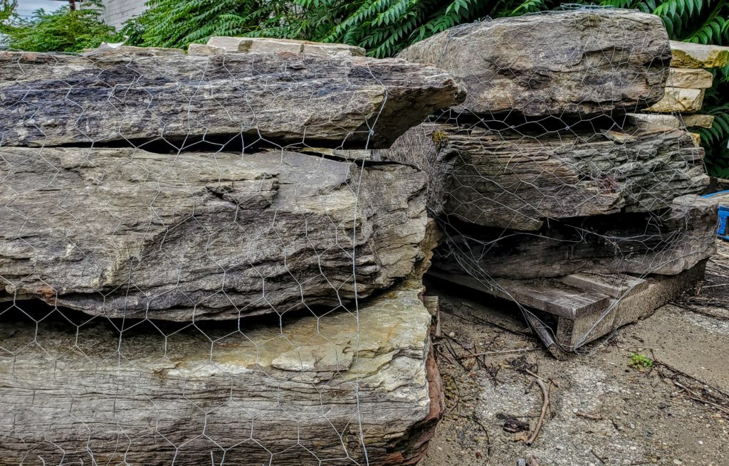 Pennsylvania Large Fieldstone Outcropping Birch Tree Bark & Stone