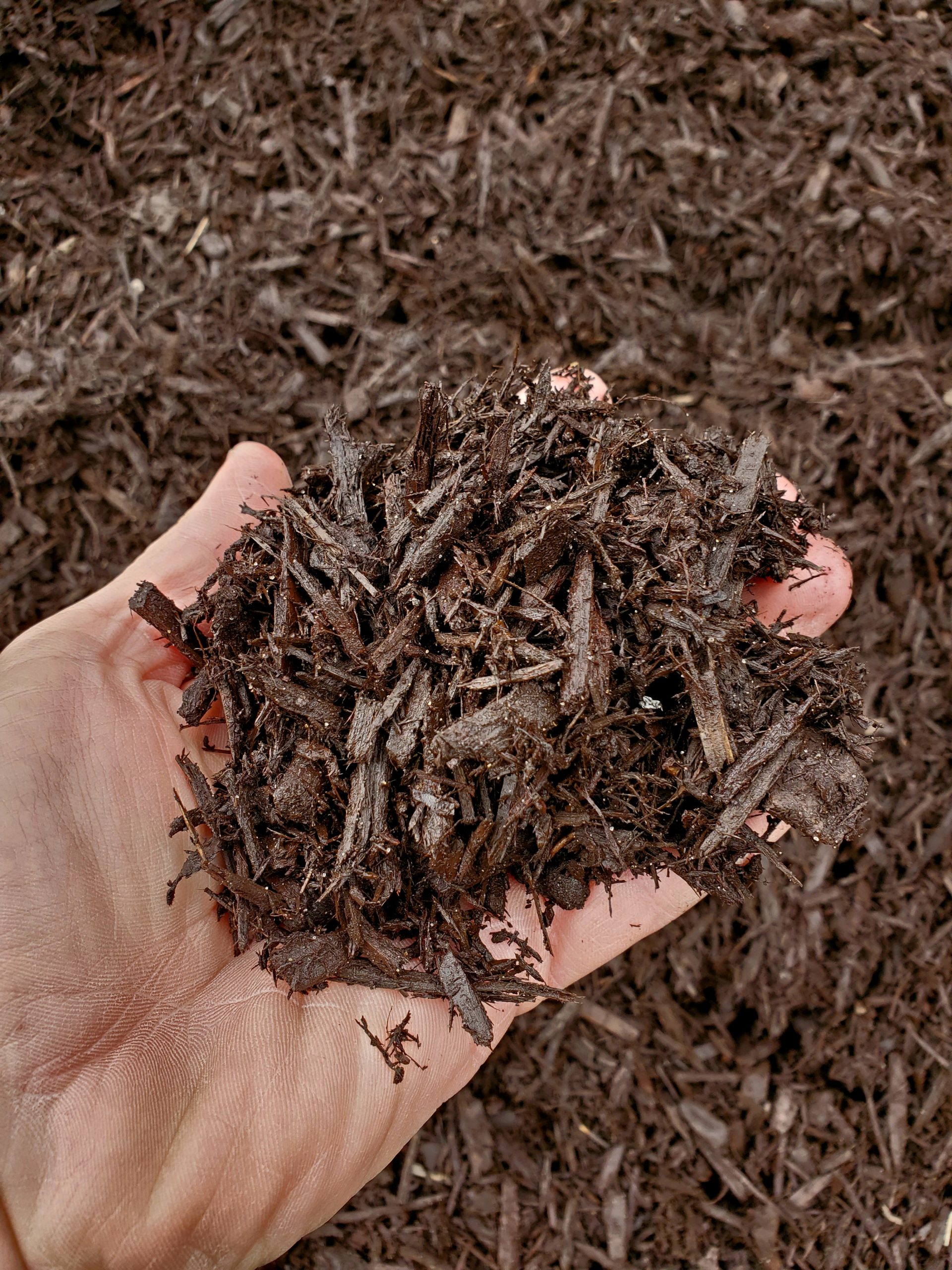 Dark Brown Enhanced Mulch Dark Brown Enhanced Mulch
