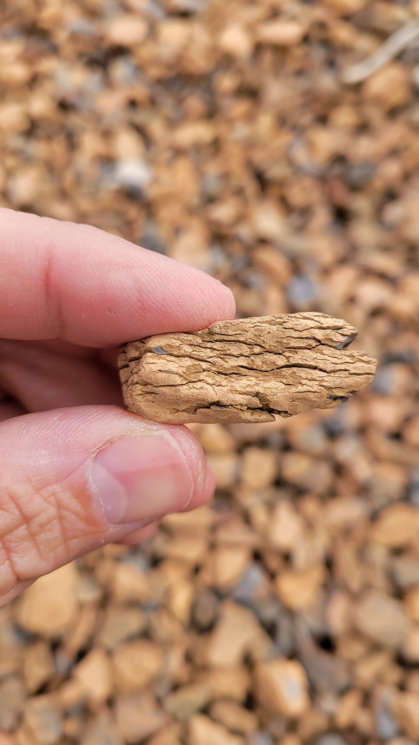 Stone Bark Decorative Stone Birch Tree Bark & Stone