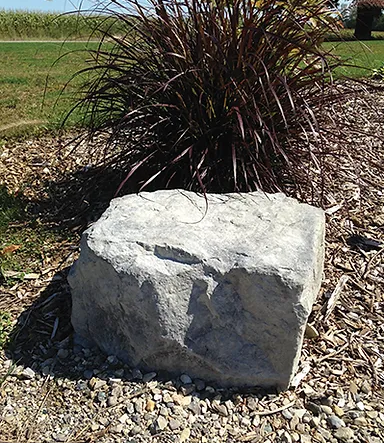 Chisel Stone Outcropping