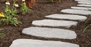 High Format Superior Steppers