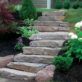 Canadian Garden Steps project