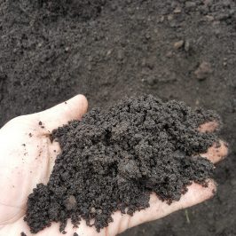 topsoil